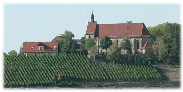 Weinbaugemeinschaft Burgwerben, Burgwerbener Herzogsberg, Kriechau